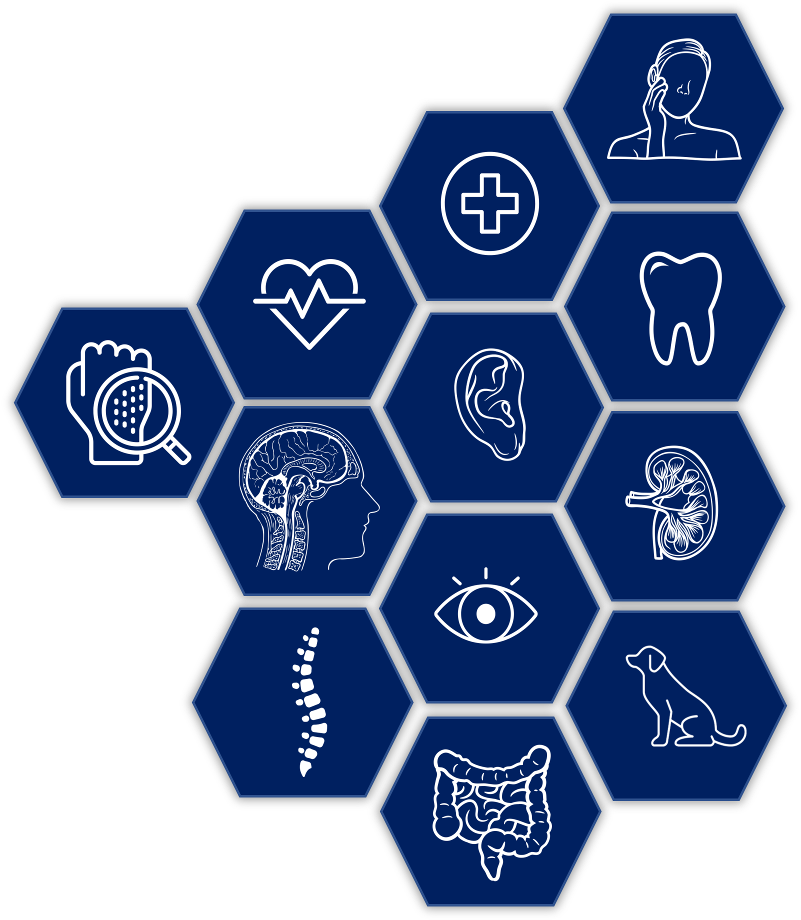 Graphic for Web